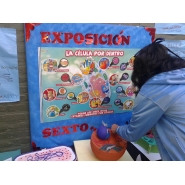 Proyecto de 6to. grado A y B: LA CÉLULA, ORIGEN DE LA VIDA